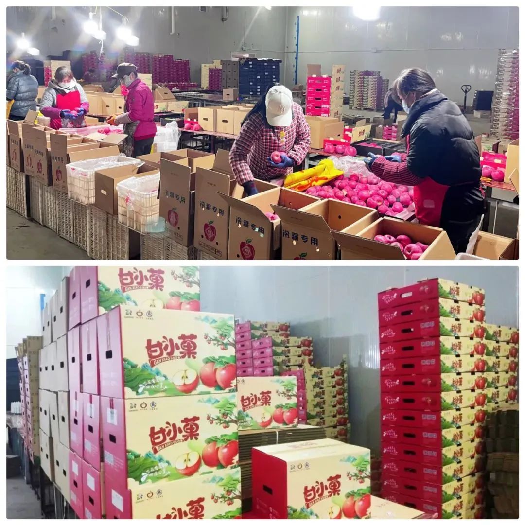 202312111702279396394698.jpg a0d50211202a8d2c6e4282a6cd946f12.jpg